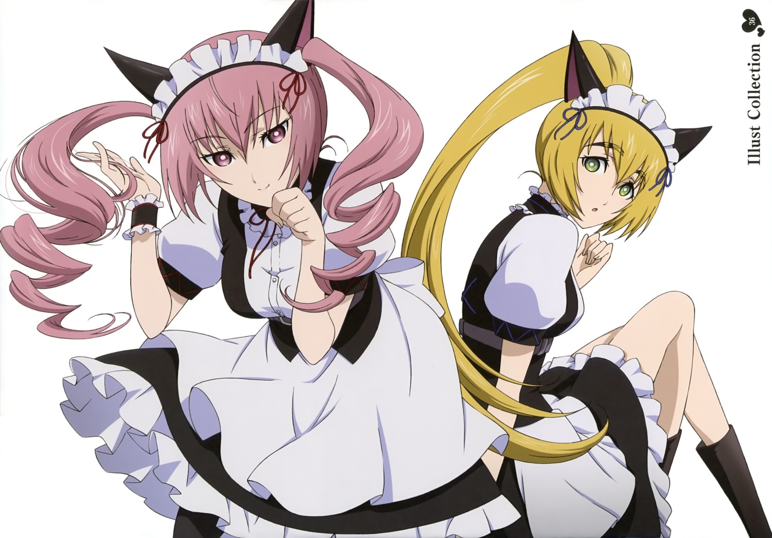animal_ears, faris_nyanyan, inayoshi_asako, maid, nekomimi, shiina_mayuri, steins;gate