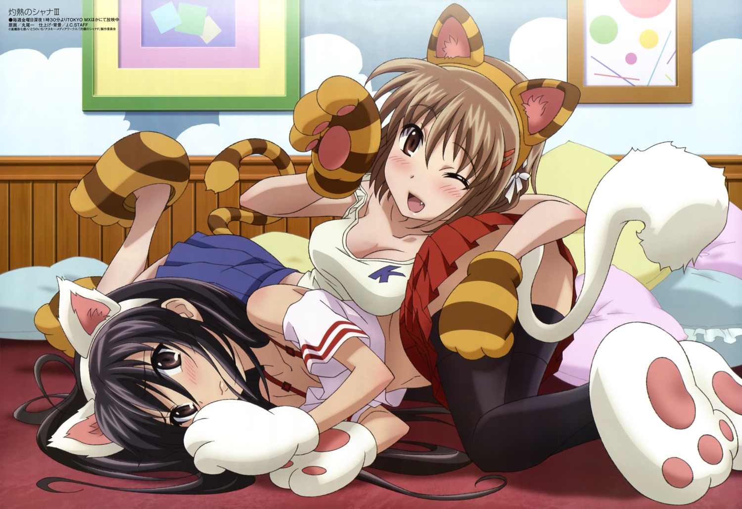 animal_ears, cleavage, cosplay, maruo_hajime, nekomimi, shakugan_no_shana, shana, tail, thighhighs, yoshida_kazumi