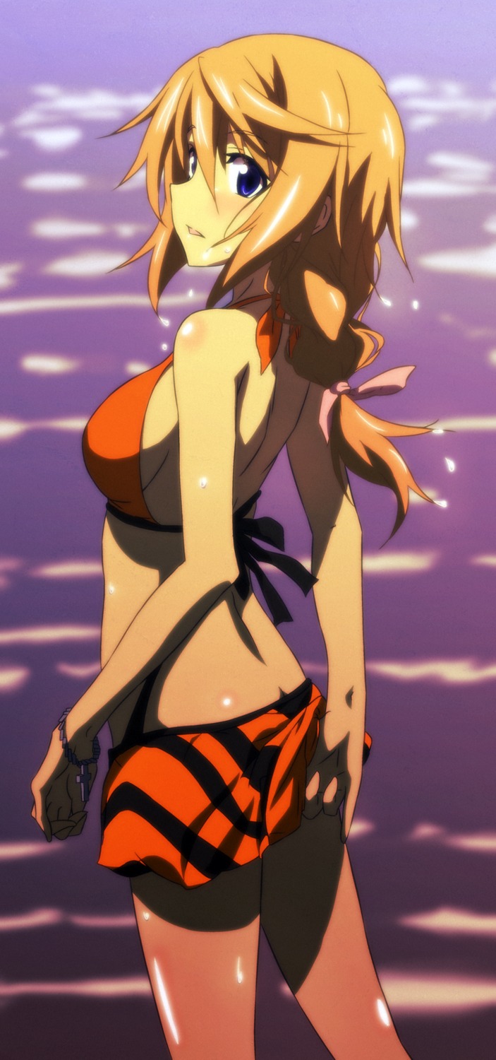 bikini, charlotte_dunois, infinite_stratos, swimsuits, tappa, yatanuko