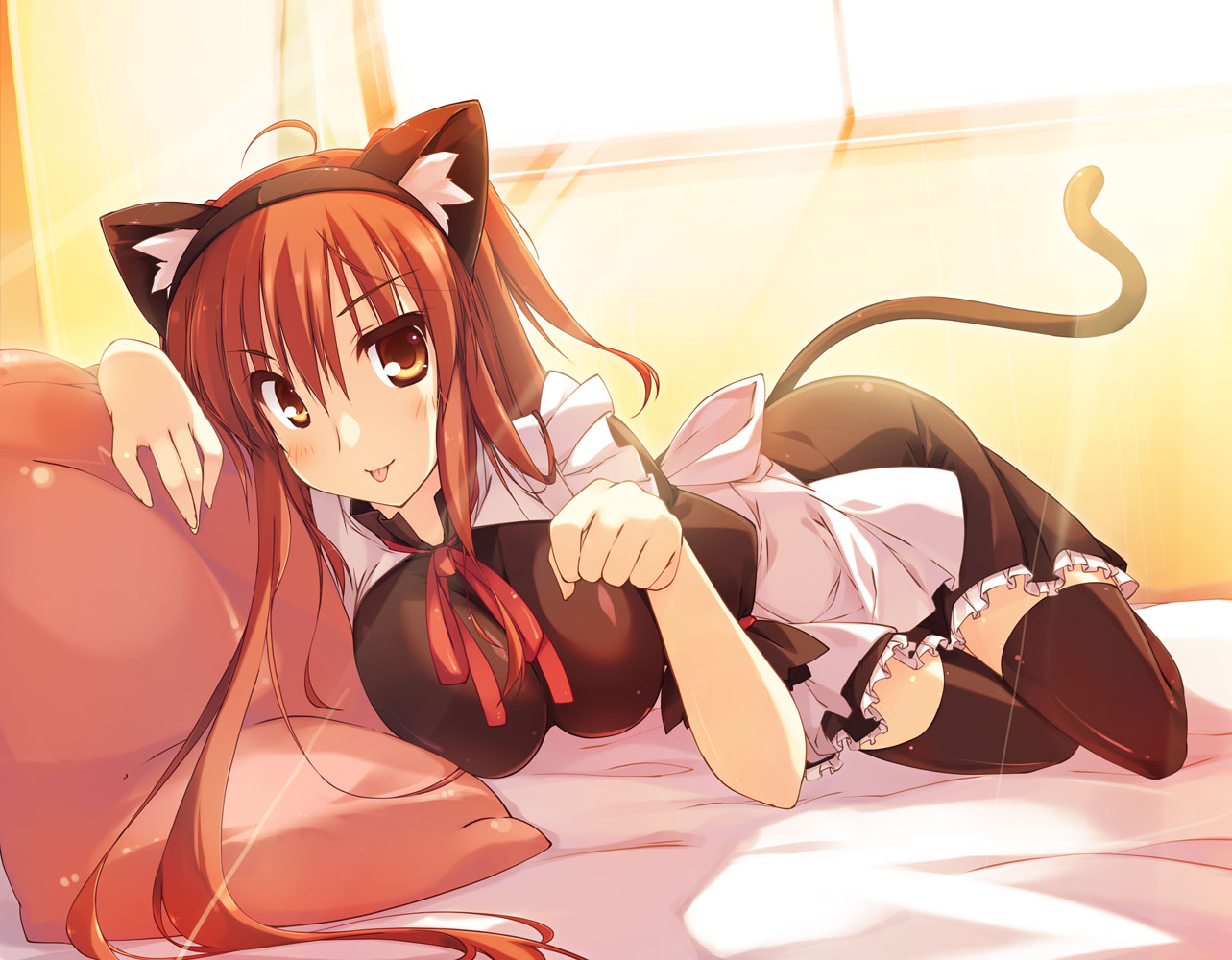 animal_ears, maid, nanakase_yui, nekomimi, nekonade_distortion, t-ray, tail, thighhighs