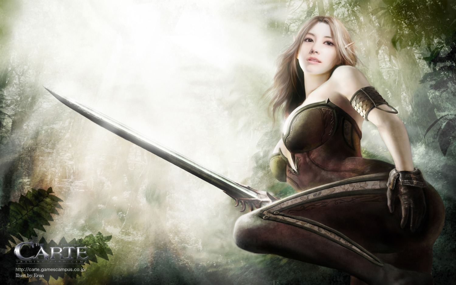 carte, elf, eron, pointy_ears, sword, wallpaper