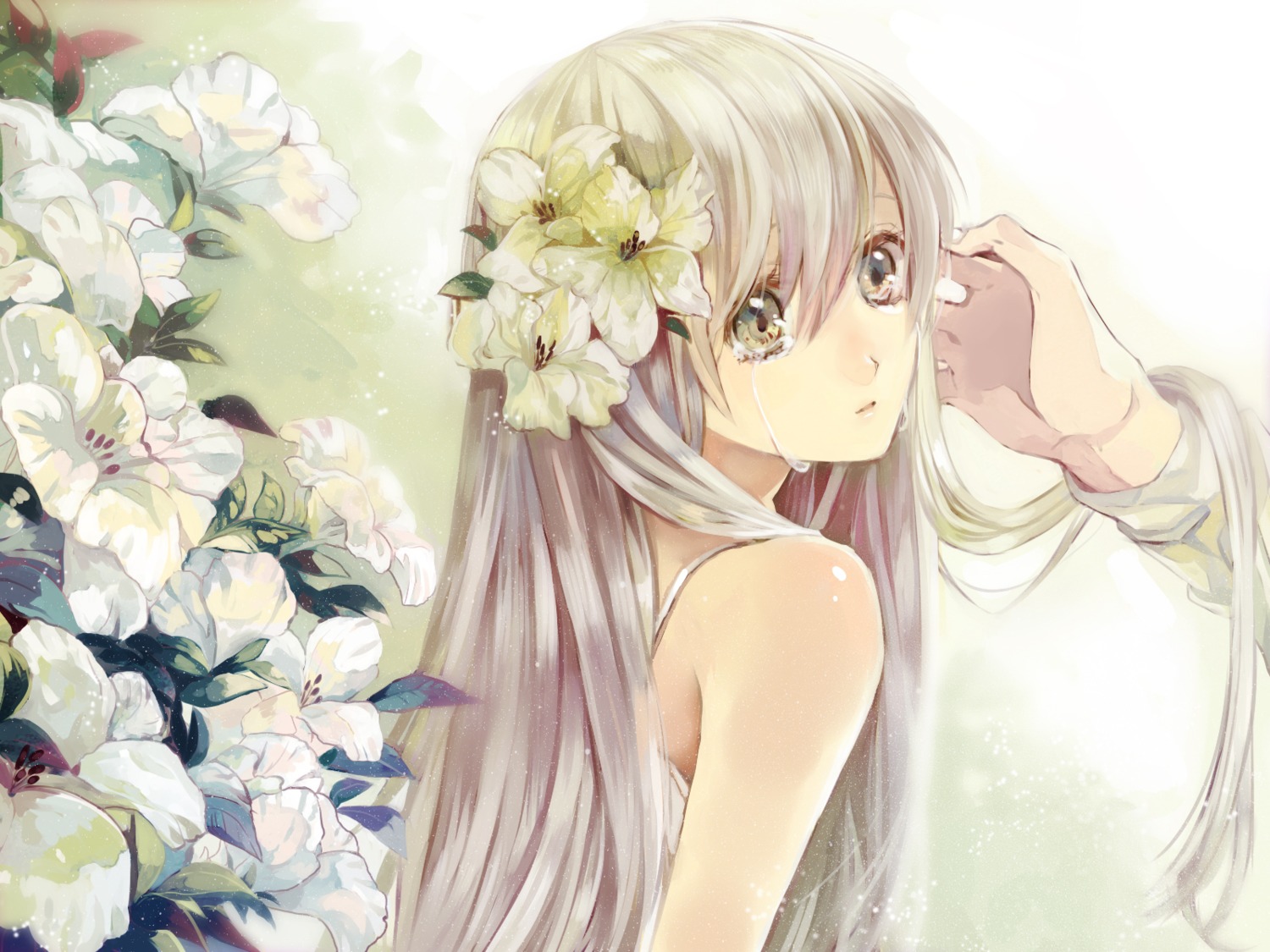 toryufu, wallpaper