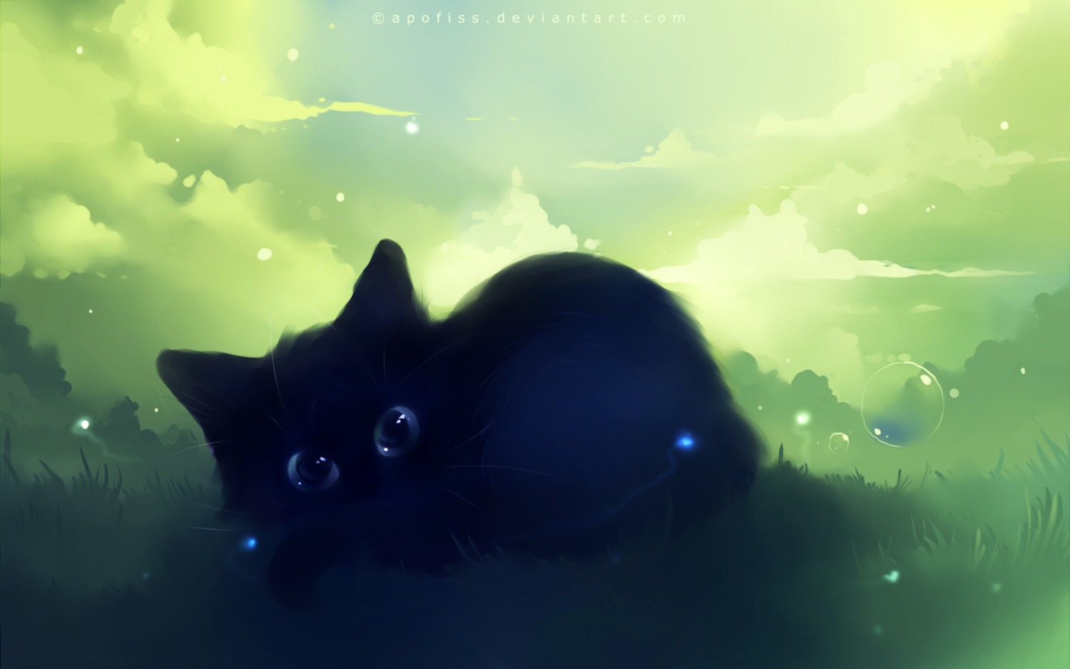 apofiss, neko, wallpaper