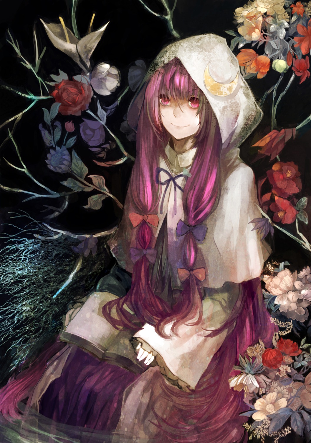 nibanmachi_wakai, patchouli_knowledge, touhou