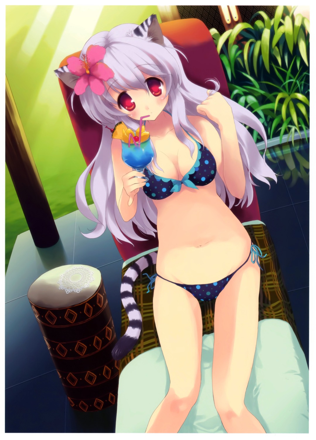 animal_ears, bikini, cleavage, nekomimi, sacchi, scanning_resolution, swimsuits, tail, toranoana
