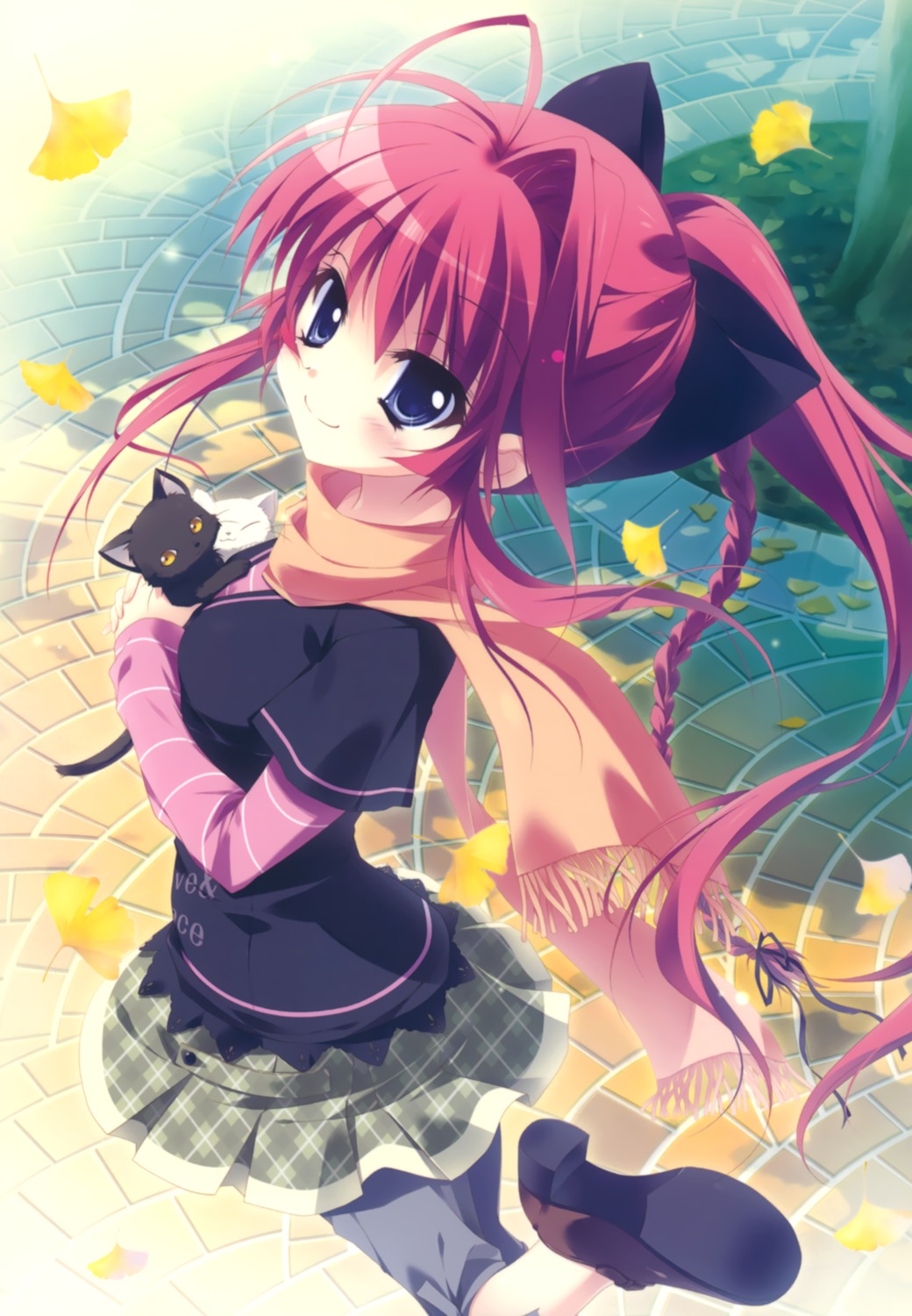 inui_sana, izumi_tsubasu, mashiroiro_symphony, neko