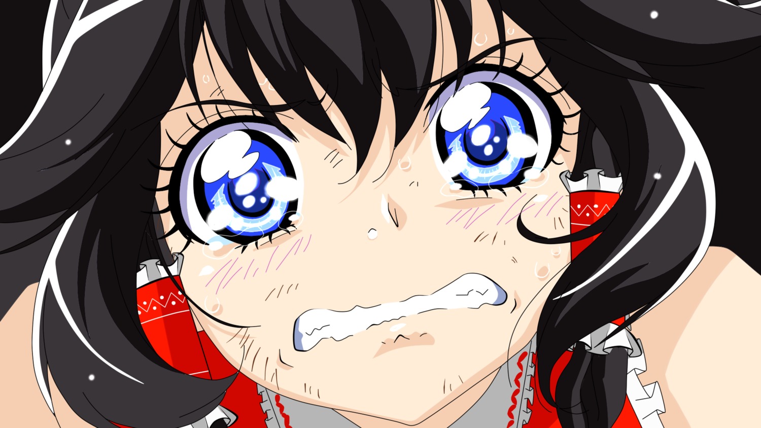 hakurei_reimu, ltd_border, parody, precure, smile_precure!, touhou, wallpaper