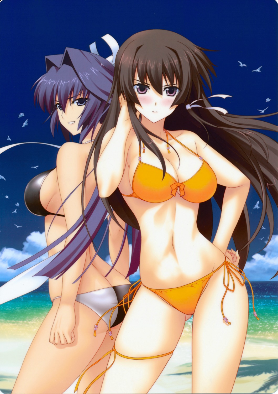 bikini, cleavage, garter, makishima_azusa, mitsurugi_meiya, muv-luv, swimsuits, takamura_yui