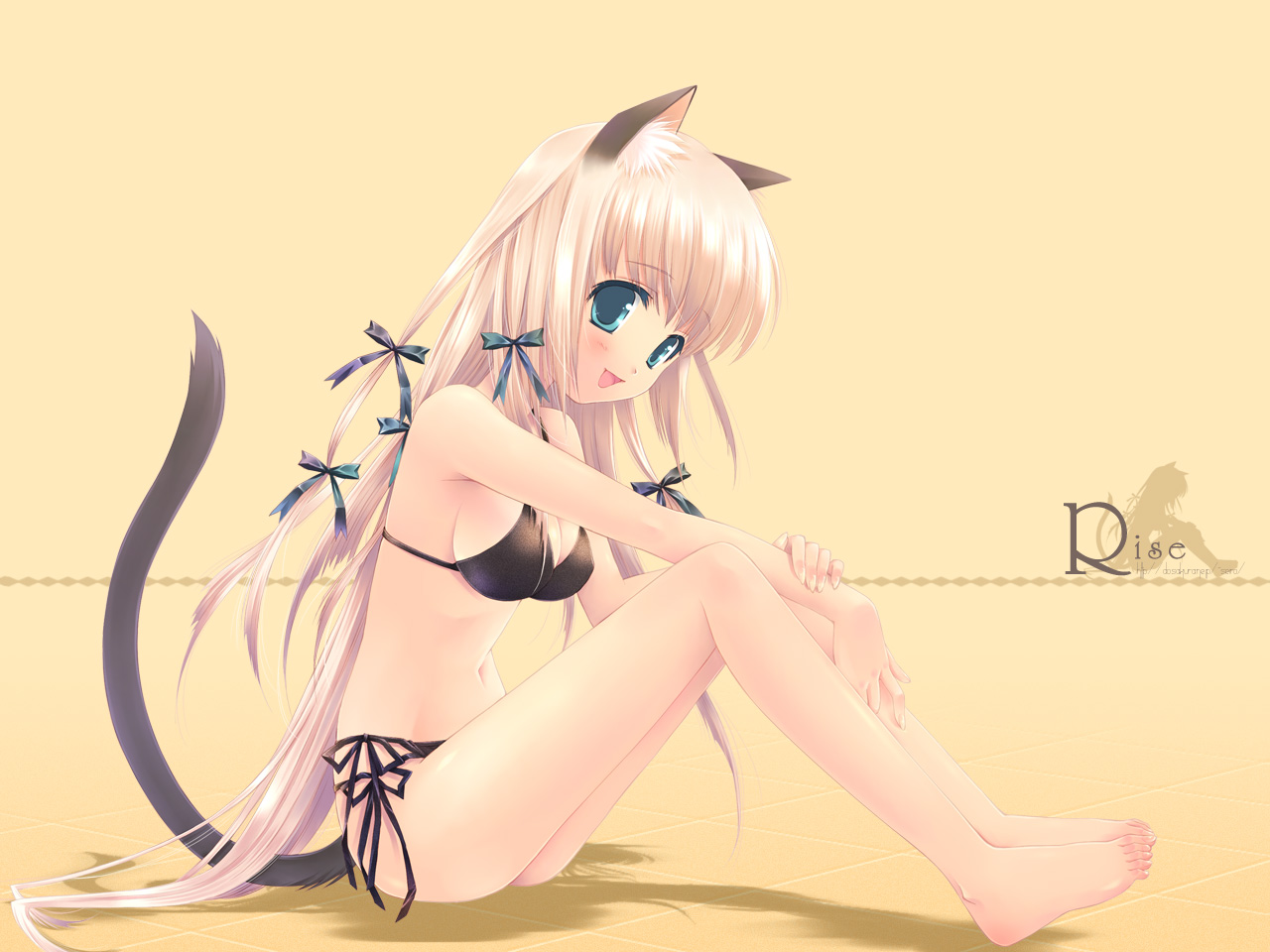 animal_ears, bikini, nekomimi, rise, swimsuits, touto_seiro, wallpaper