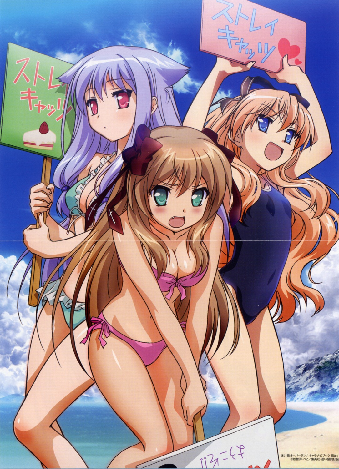 animal_ears, bikini, bleed_through, cleavage, crease, kiriya_nozomi, mayoi_neko_overrun, nakamoto_naoko