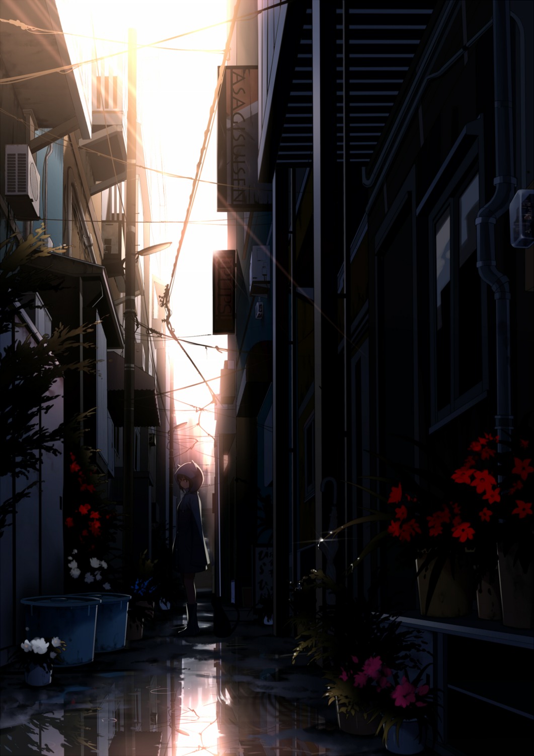 landscape, mogumo