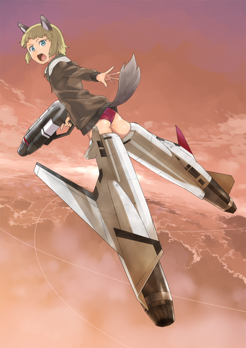 ace_combat_zero, animal_ears, gun, jack_hamster, larry_foulke, strike_witches, tail