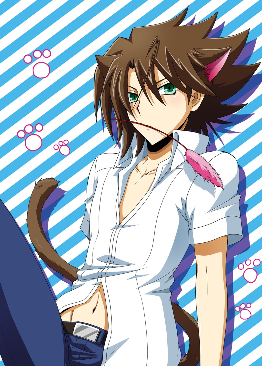animal_ears, cardfight_vanguard, kai_toshiki, male, nekomimi, tail, tsunoda_wei