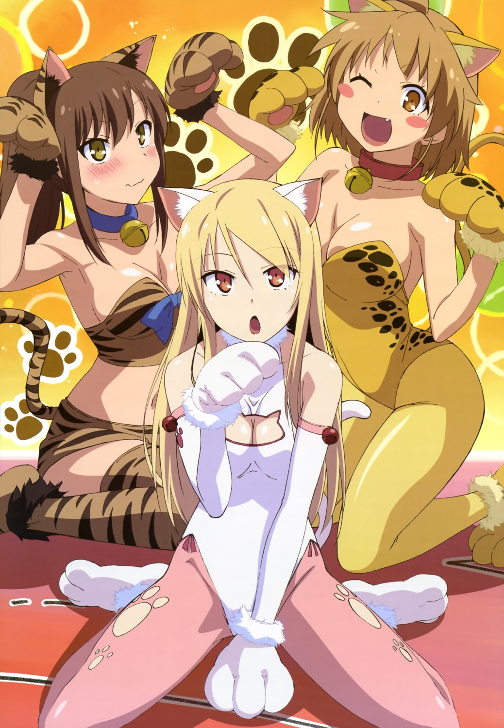 animal_ears, aoyama_nanami, bodysuit, cleavage, cosplay, fujii_masahiro, kamiigusa_misaki, nekomimi, sakura-sou_no_pet_na_kanojo, shiina_mashiro, tail, thighhighs