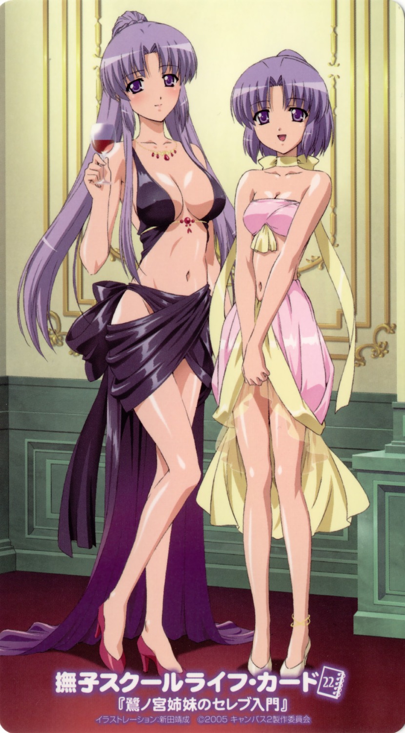 canvas_2, cleavage, dress, nitta_yasunari, saginomiya_ai, saginomiya_saya