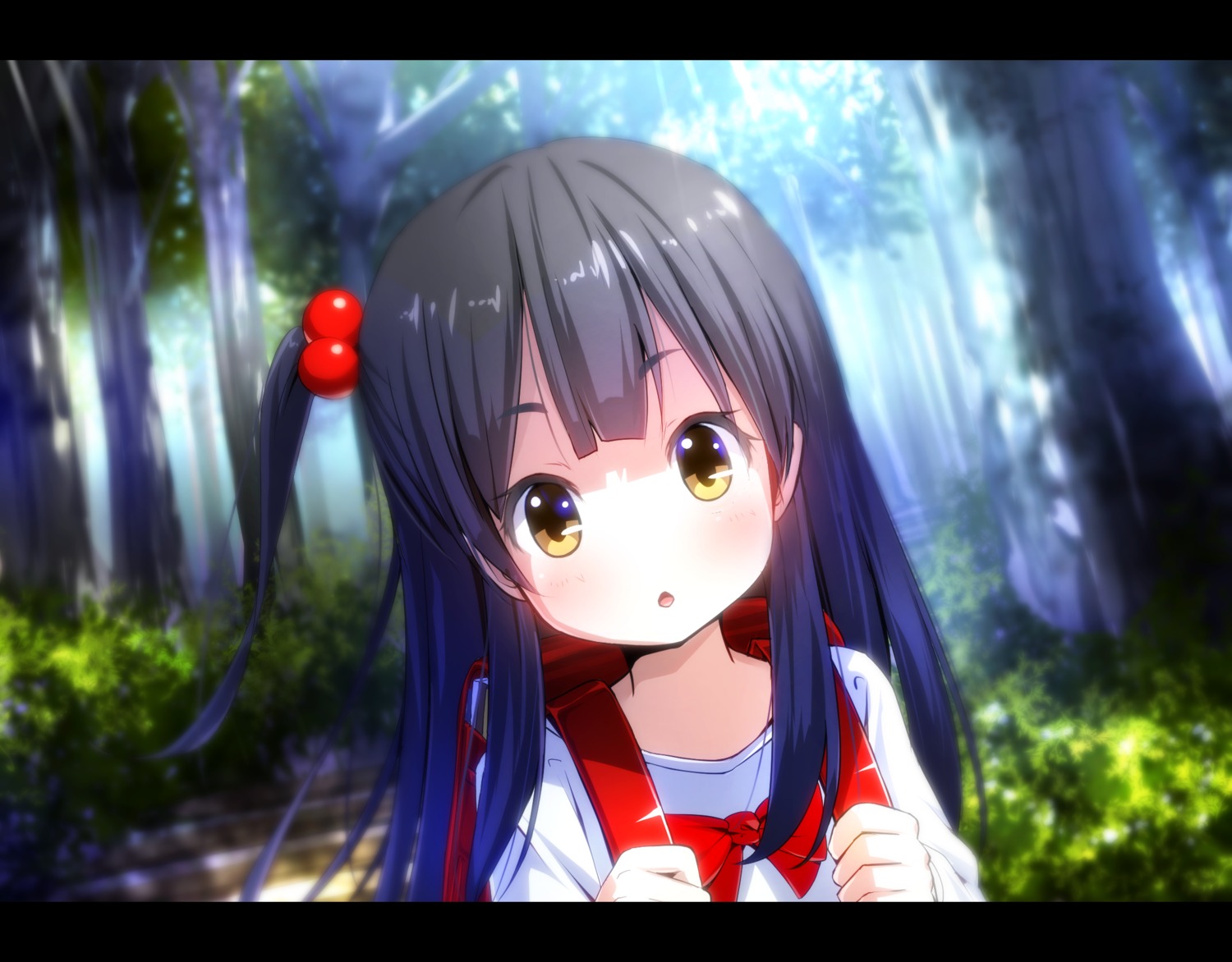 kitashirakawa_anko, ryosios, tamako_market