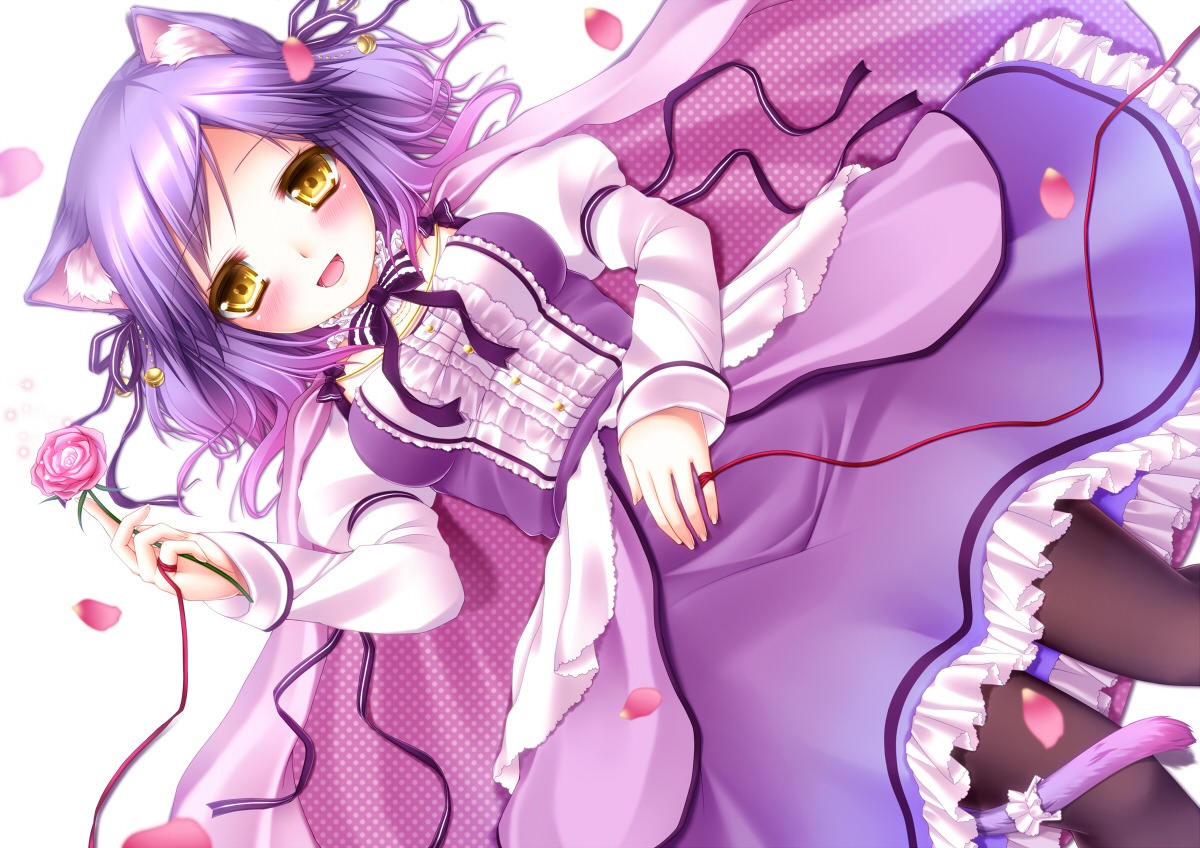 animal_ears, dress, nekomimi, pantyhose, shitou, tail