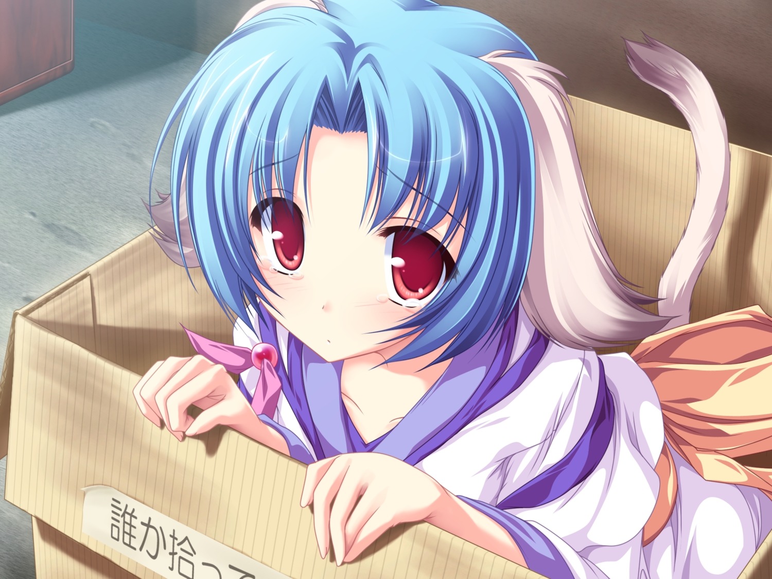 animal_ears, game_cg, haruhi_sarasa, inakoi, inumimi, tenmaso