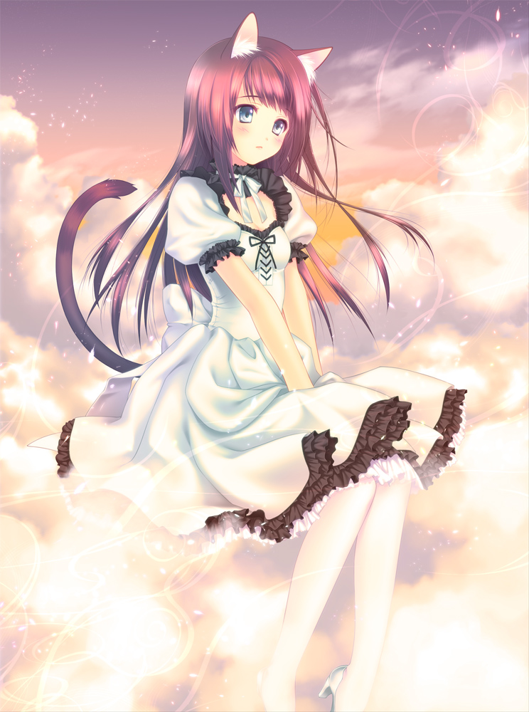 animal_ears, dress, nekomimi, pantyhose, tail, touto_seiro