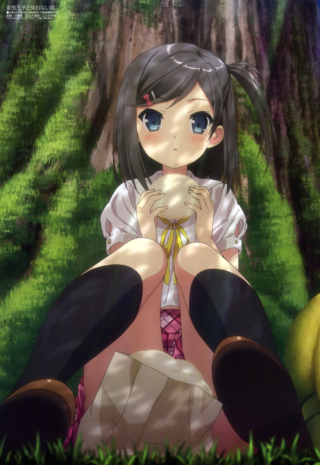 hentai_ouji_to_warawanai_neko, komori_atsushi, seifuku, tsutsukakushi_tsukiko