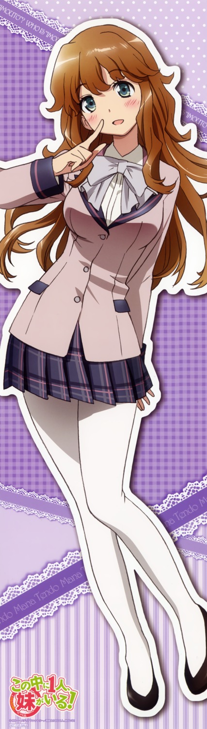 kono_naka_ni_hitori_imouto_ga_iru!, pantyhose, seifuku, stick_poster, tendou_mana