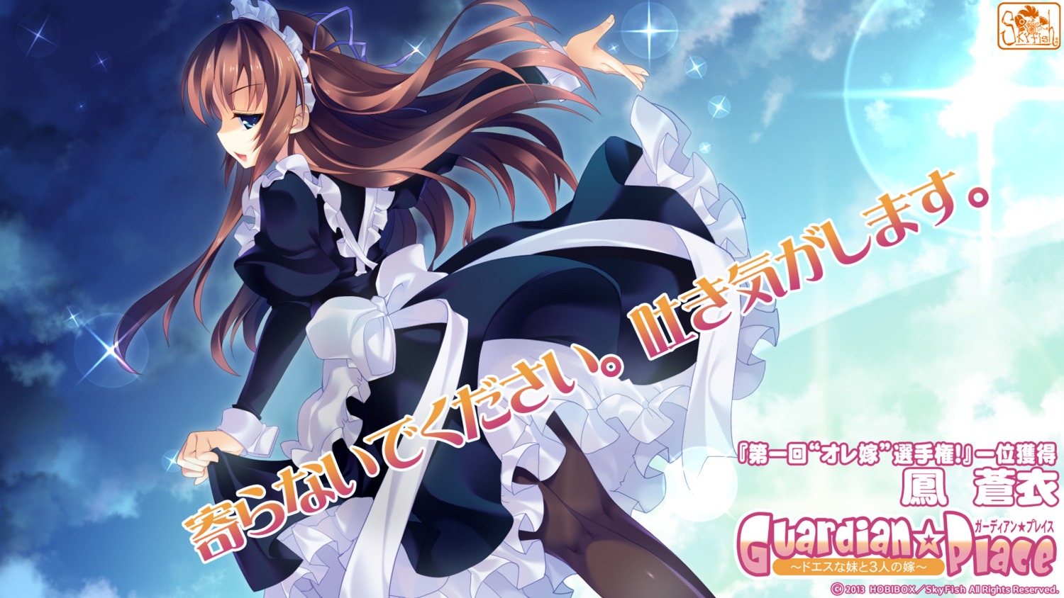 guardian☆place, maid, ootori_aoi, pantyhose, skyfish, tsurugi_hagane, wallpaper