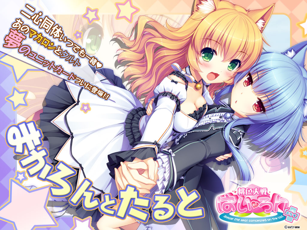 animal_ears, cleavage, dress, momoiro_taisen_pairon, nekomimi, sayori, wallpaper