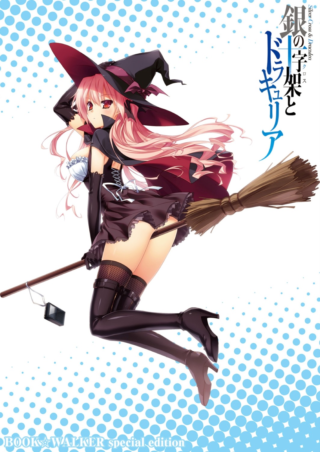 dress, fishnets, gin_no_cross_to_draculea, gothic_lolita, lolita_fashion, rushella_dahm_draculea, thighhighs, witch, yasaka_minato