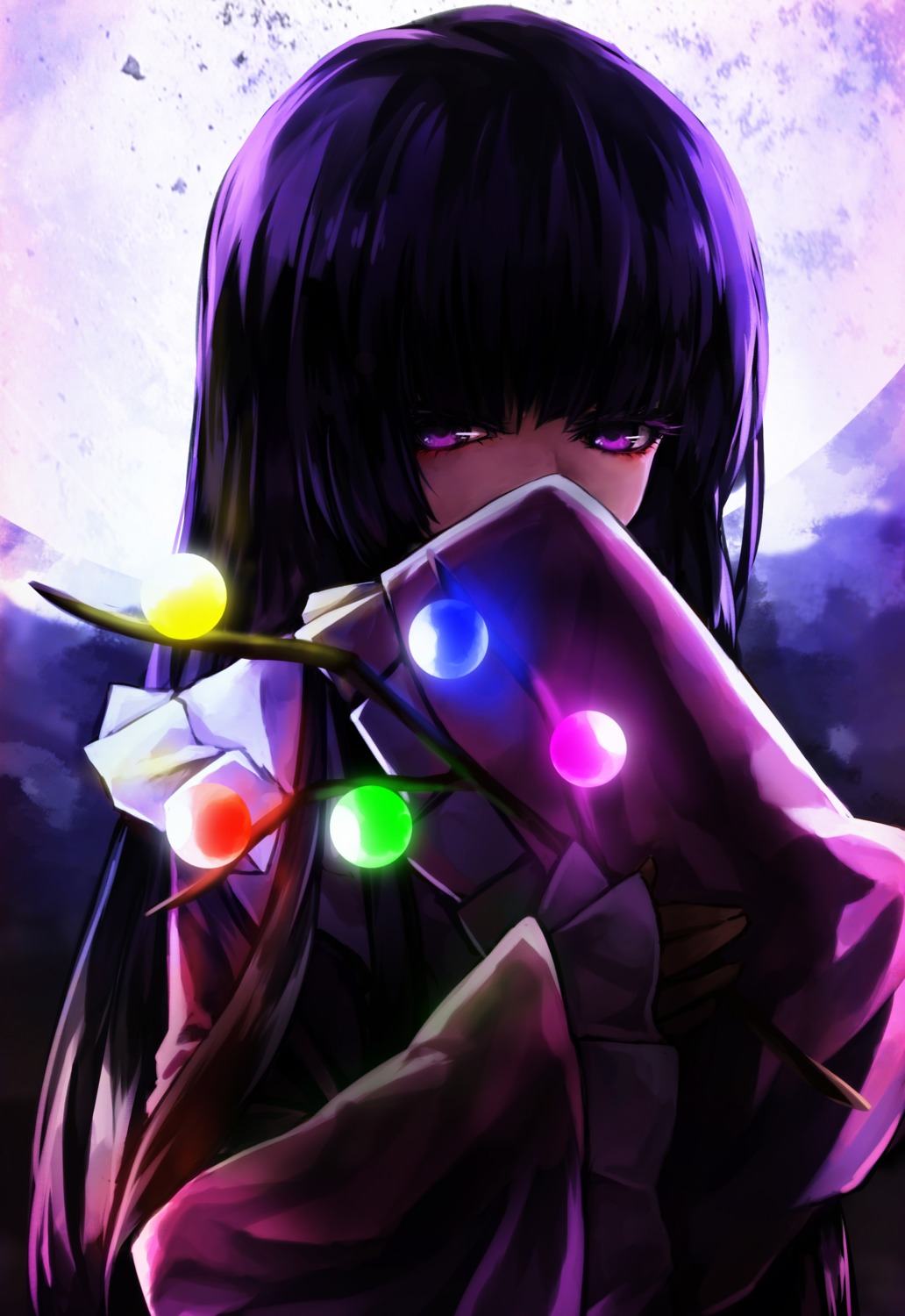 houraisan_kaguya, mister_rhino, touhou