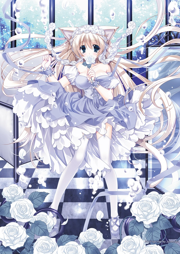 animal_ears, dress, nekomimi, ryuuga_shou, stockings, tail, thighhighs