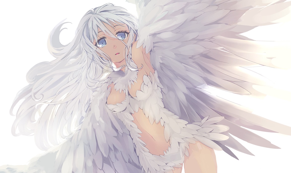 cleavage, mizushirazu, wings