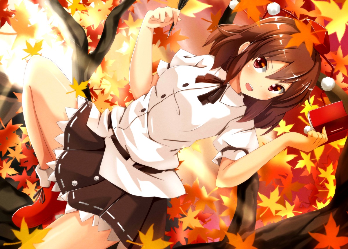 ok-ray, shameimaru_aya, touhou
