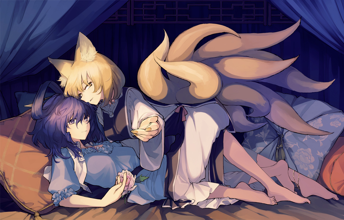 animal_ears, kaku_seiga, nakatani, tail, touhou, yakumo_ran