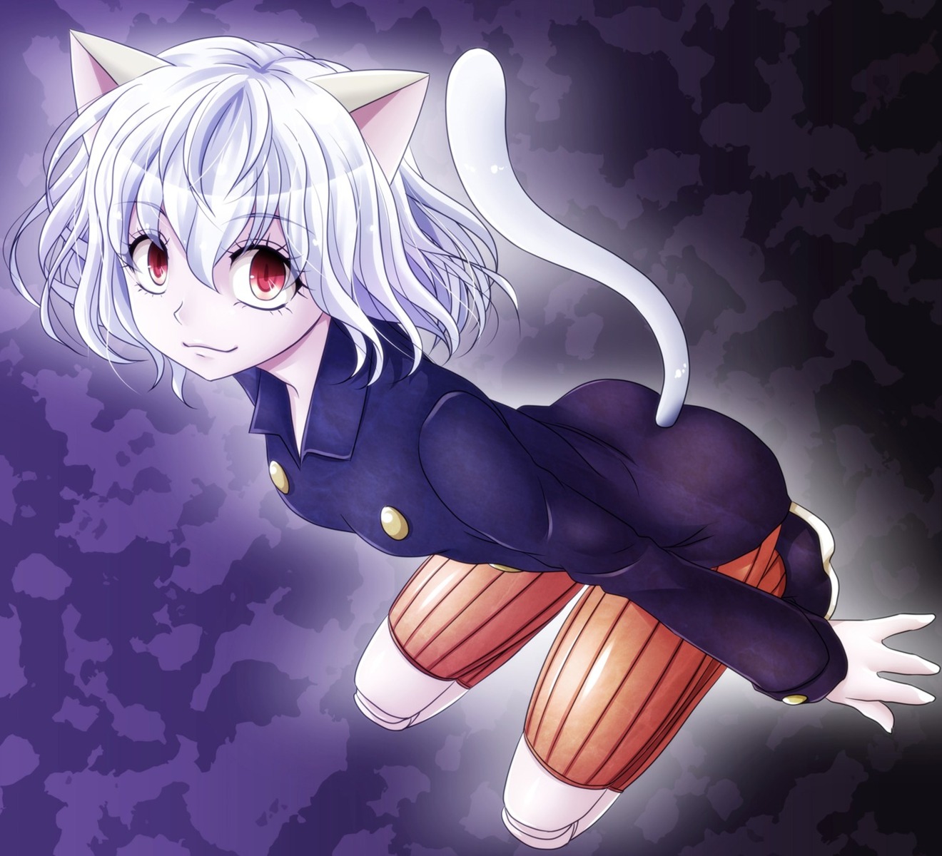 animal_ears, h.t.k, hunter_x_hunter, nefelpitou, nekomimi, tail