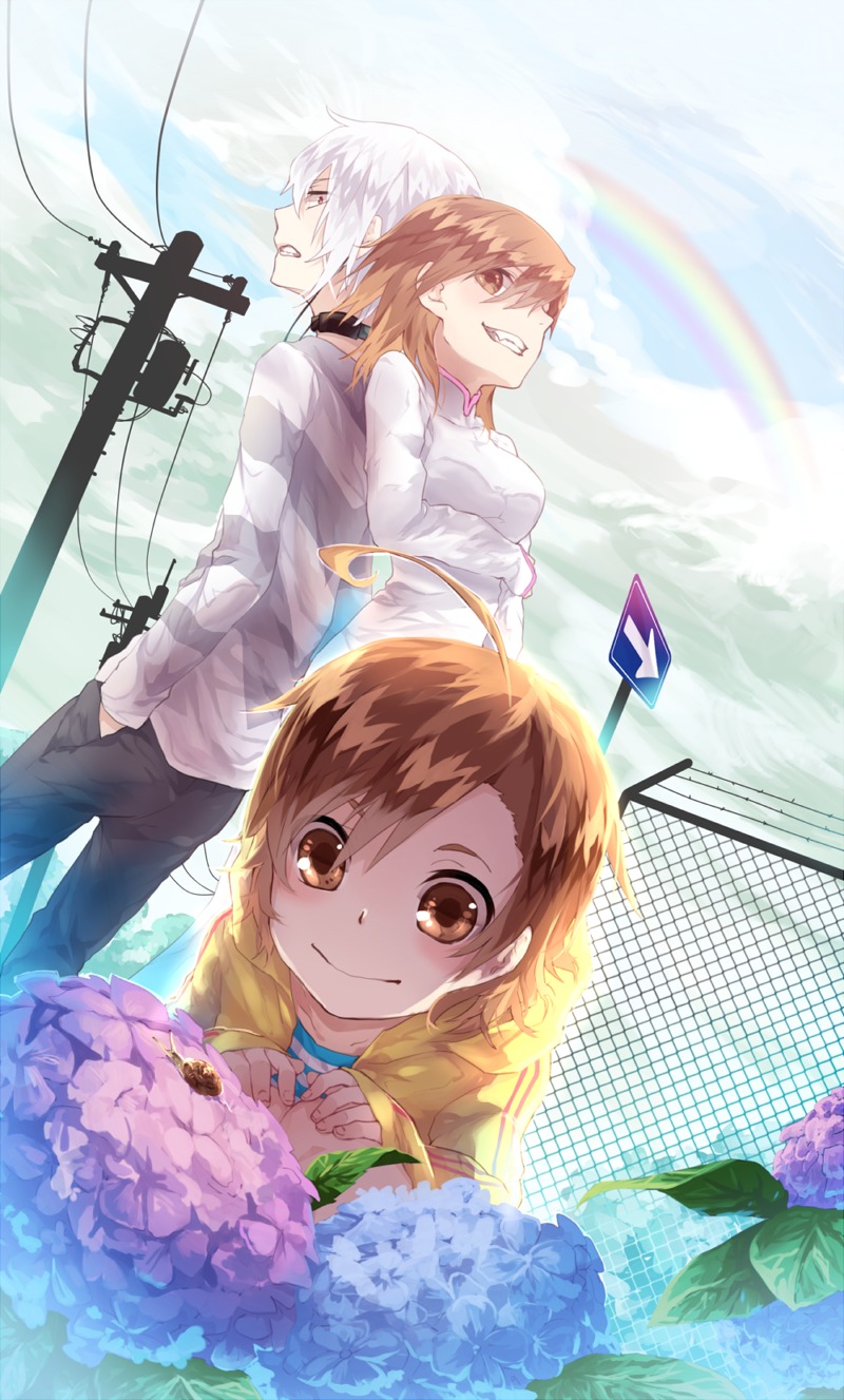 accelerator, last_order, misaka_worst, pietani397, toaru_majutsu_no_index