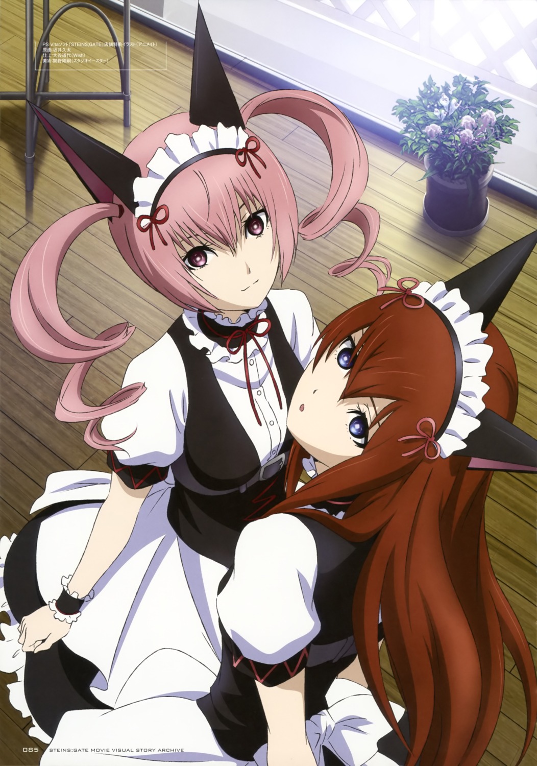 faris_nyanyan, maid, makise_kurisu, sakai_kyuuta, steins;gate