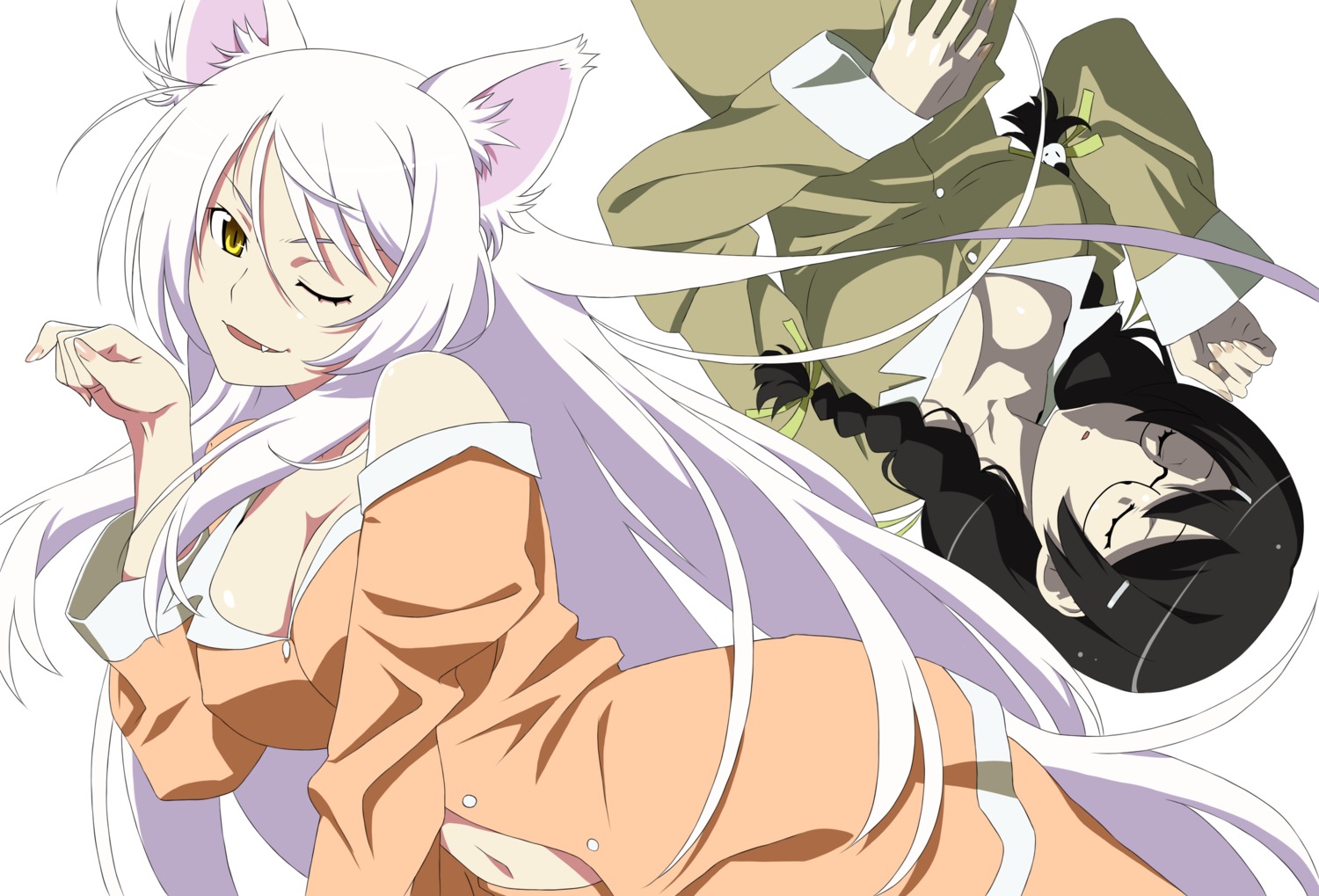 animal_ears, bakemonogatari, cleavage, hanekawa_tsubasa, megane, monogatari_(series), nekomimi, nekomonogatari, nisemonogatari, pajama, touhu