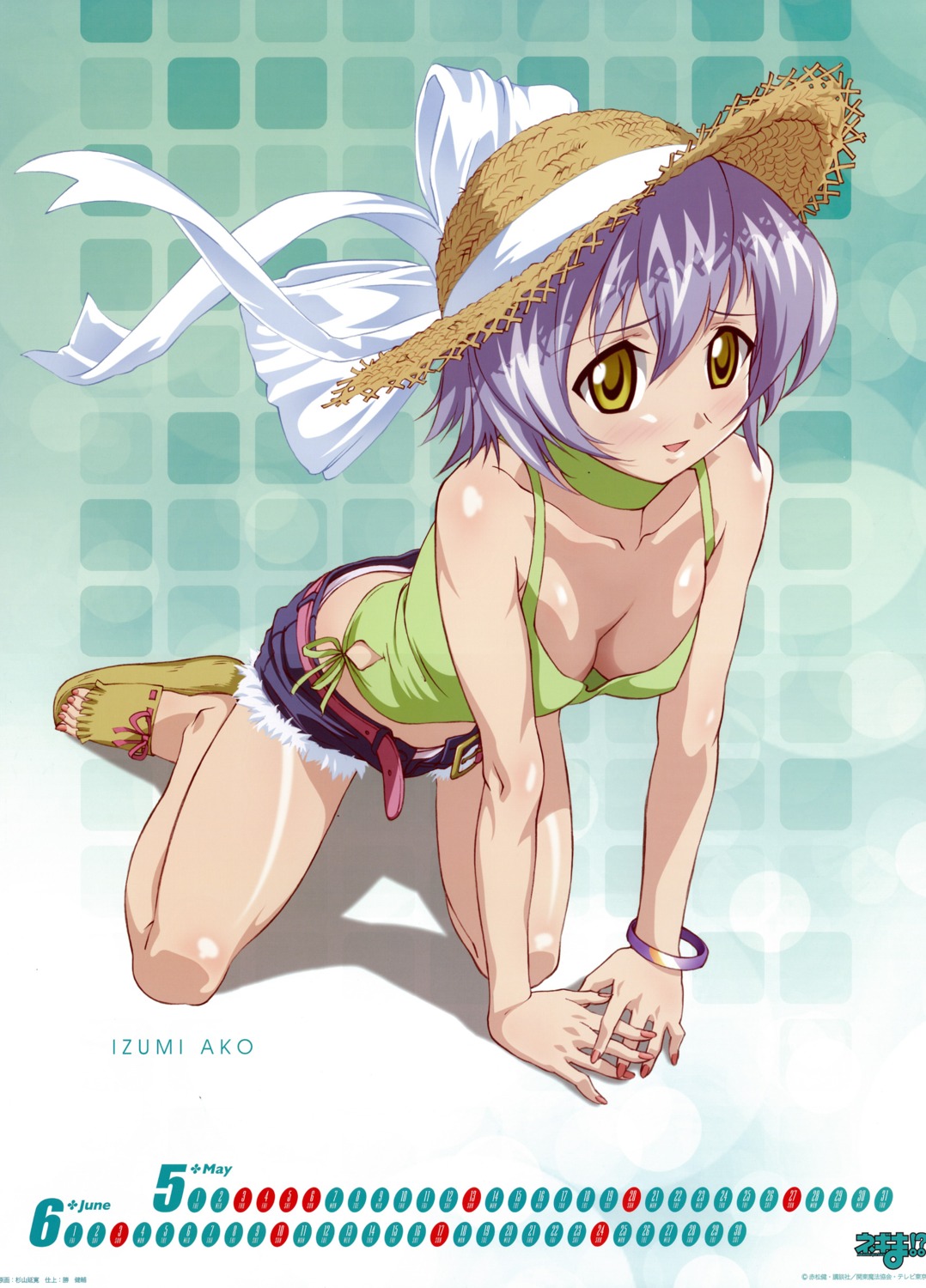 calendar, cleavage, izumi_ako, mahou_sensei_negima, sugiyama_nobuhiro