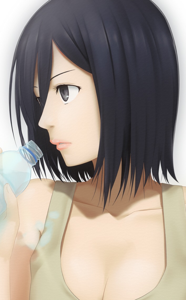 1059, cleavage, mikasa_ackerman, shingeki_no_kyojin