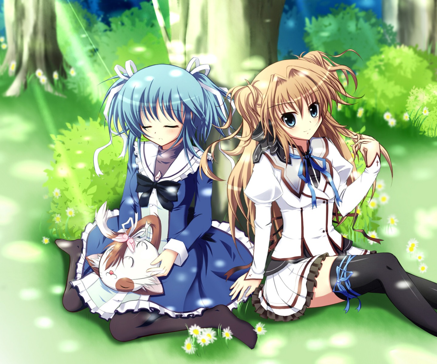 mashiroiro_symphony, nanairo_fuusen, neko, pannya, pantyhose, seifuku, sena_airi, thighhighs