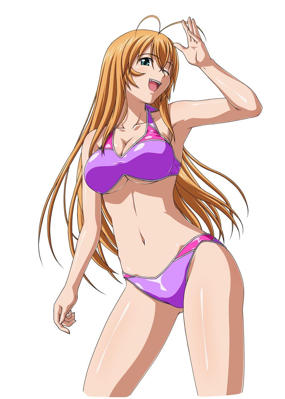 bikini, cleavage, ikkitousen, sonsaku_hakufu, swimsuits