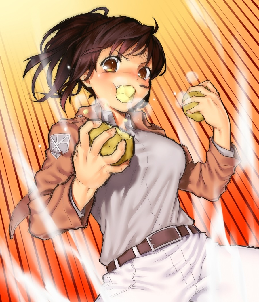onsoku_inu, sasha_browse, shingeki_no_kyojin