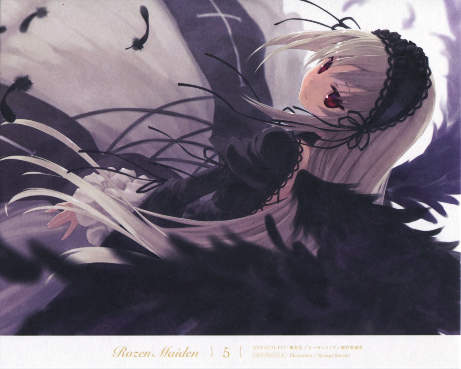 endcard, gothic_lolita, lolita_fashion, paper_texture, rozen_maiden, suigintou, sumaki_shungo, wings