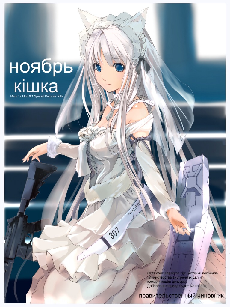 animal_ears, dress, gun, h016