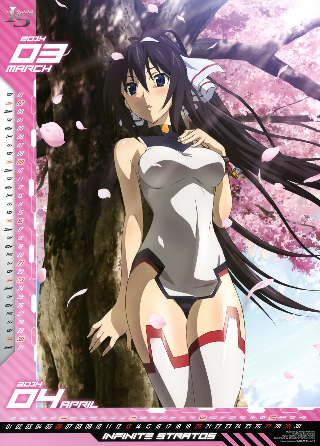 calendar, infinite_stratos, leotard, nishizawa_shinya, shinonono_houki, thighhighs