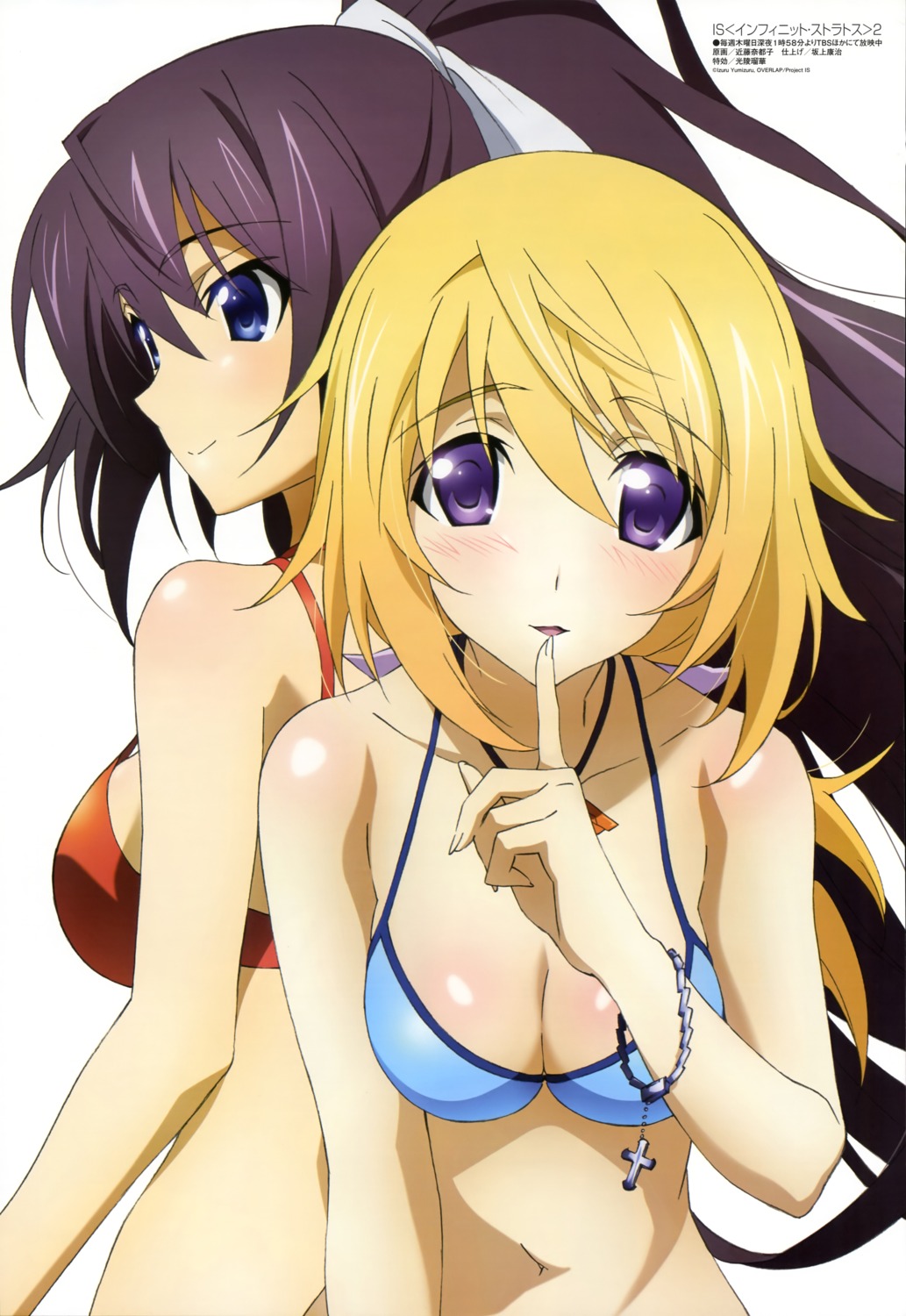 bikini, charlotte_dunois, cleavage, infinite_stratos, kondou_natsuko, shinonono_houki, swimsuits
