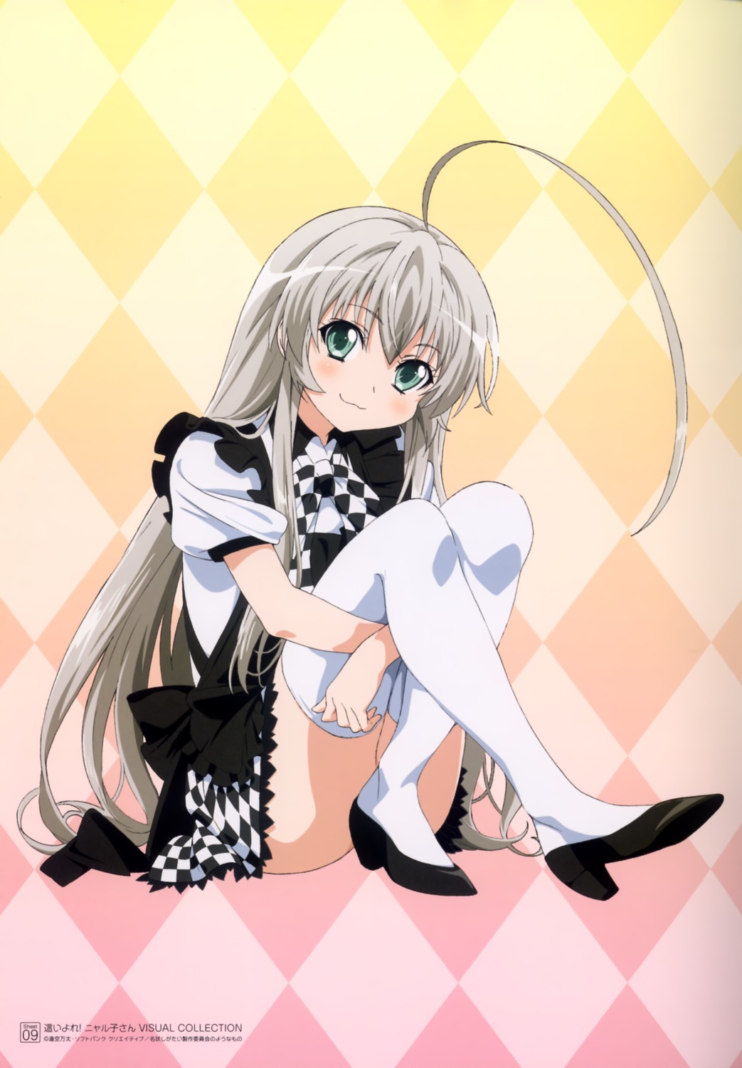 haiyore!_nyaruko-san, nyaruko