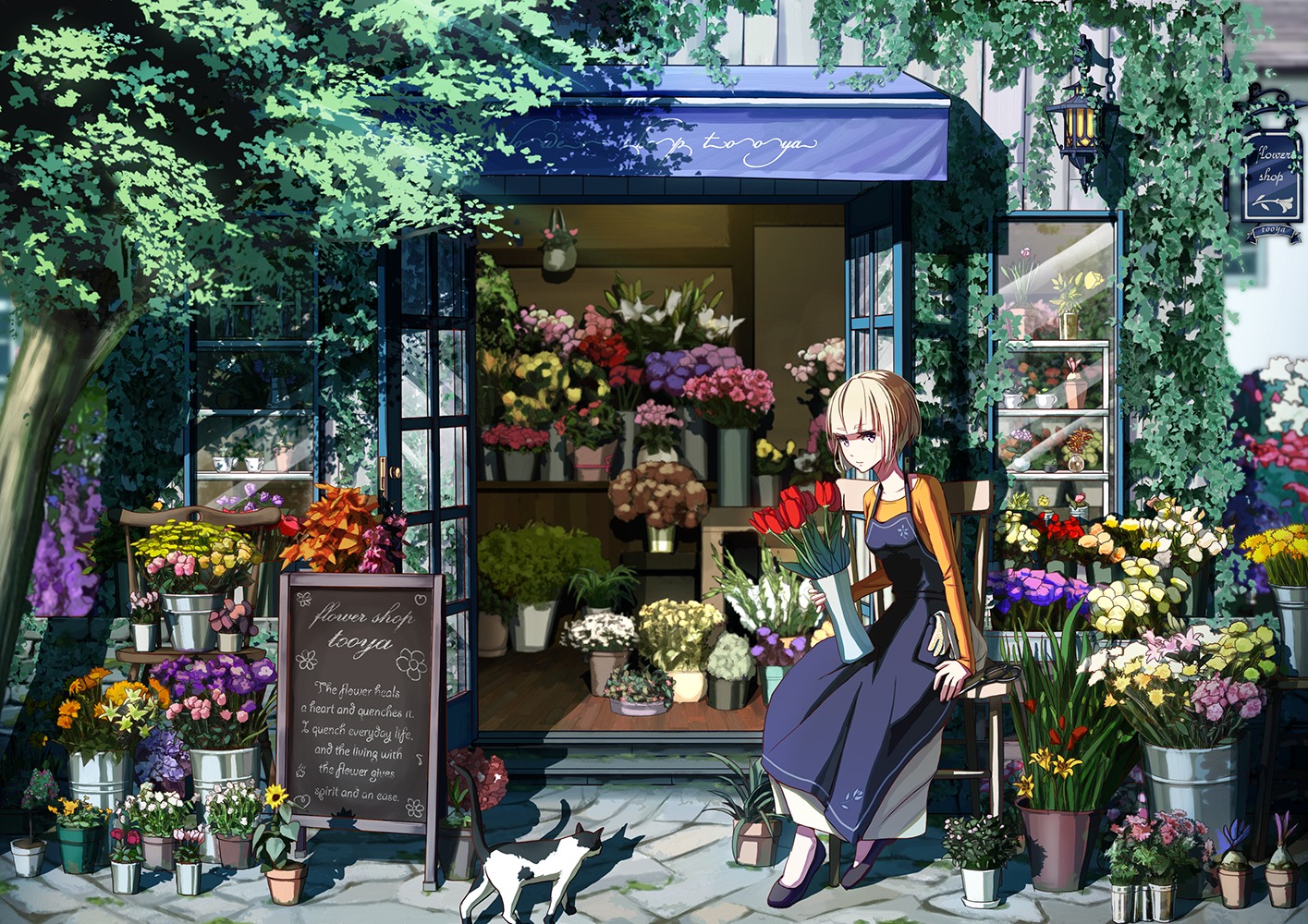 juya, neko