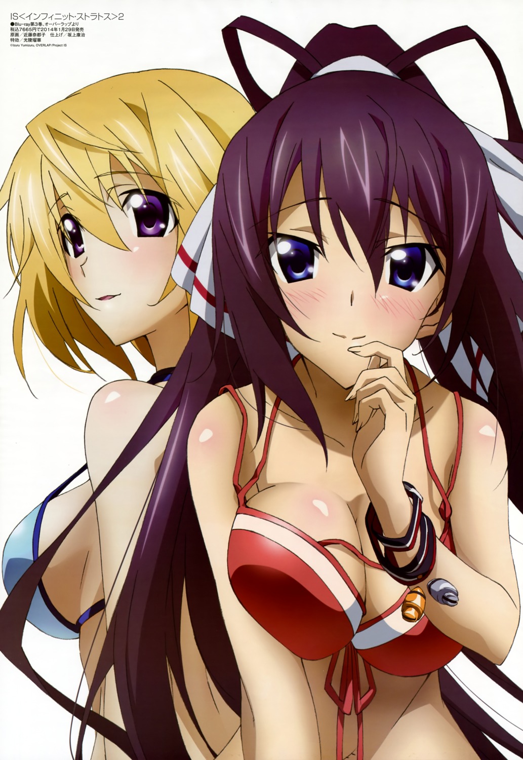bikini, charlotte_dunois, cleavage, infinite_stratos, infinite_stratos_2, kondou_natsuko, shinonono_houki, swimsuits