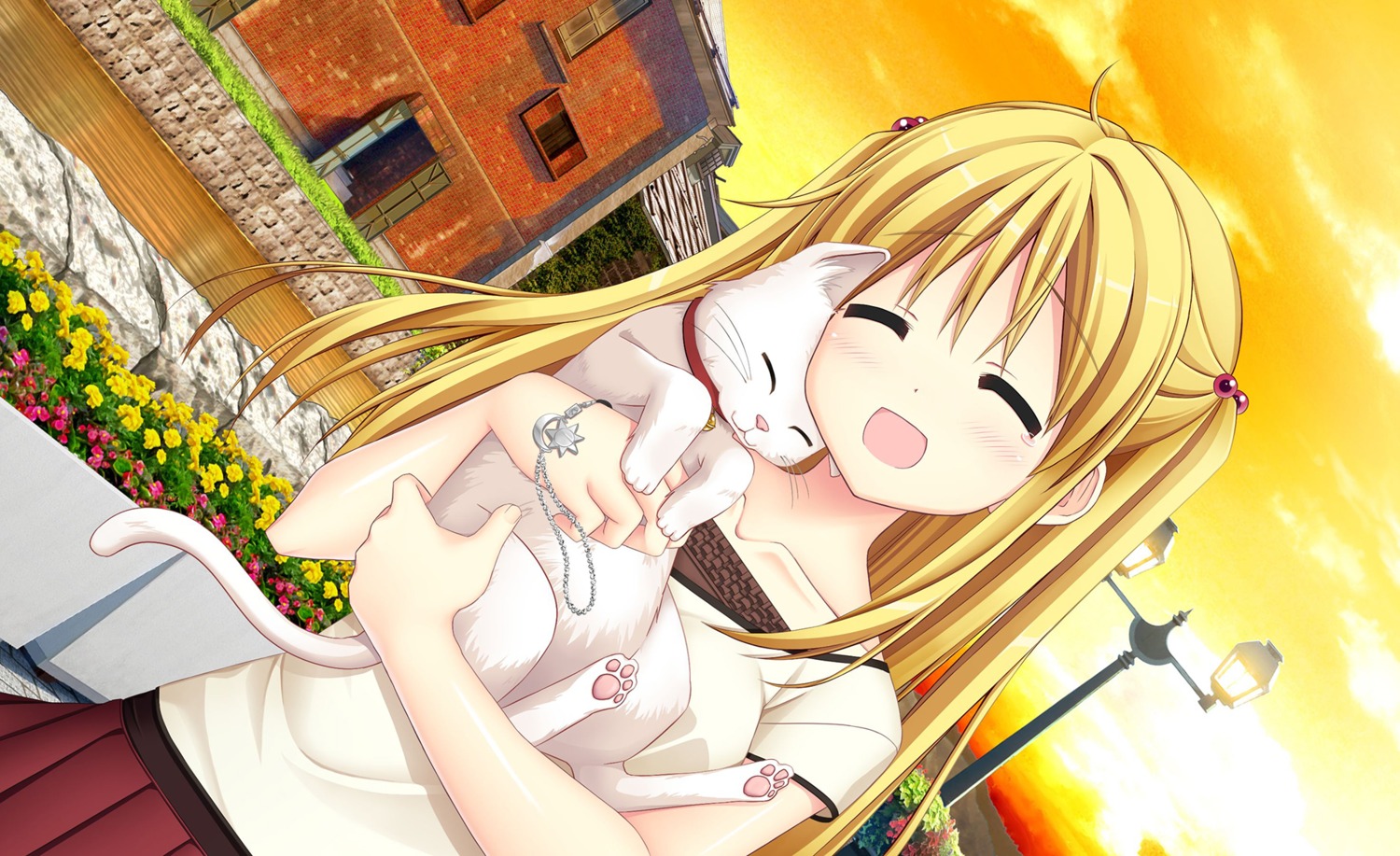 akizuki_tsukasa, haruka_kanata, nanami_yui, neko, sorahane